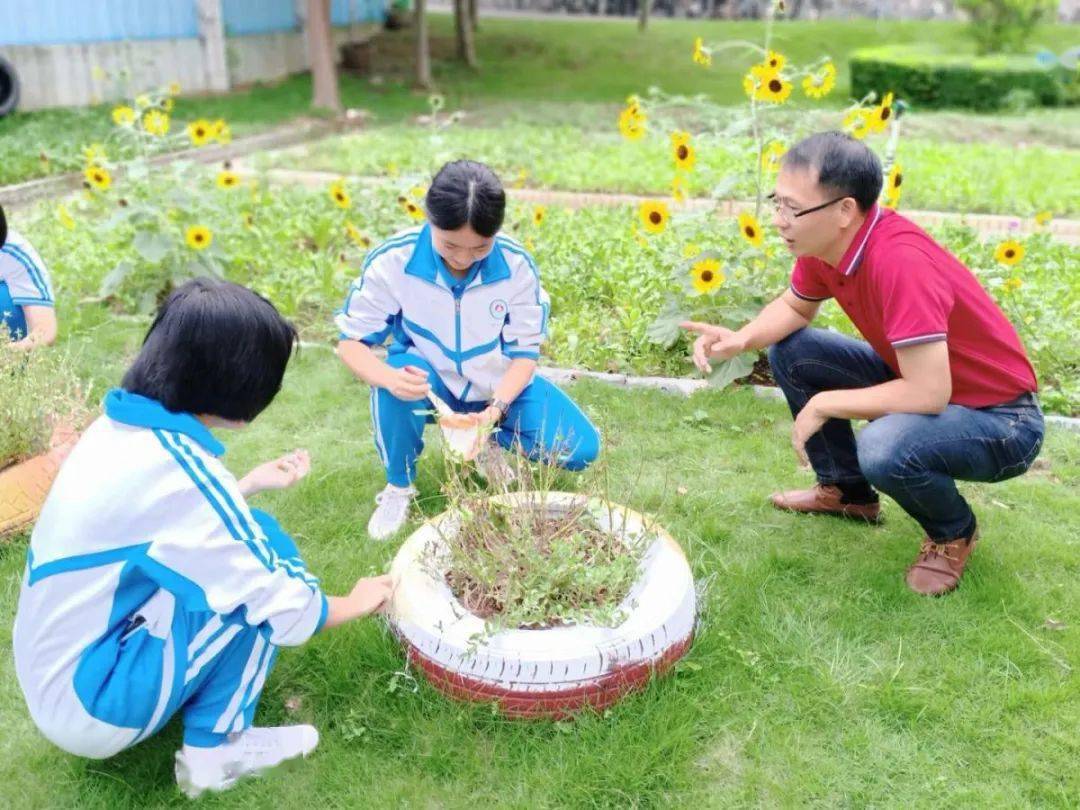 师生同耕生物园 课余实践乐趣多 三水区实验中学 生物园一直以来都是