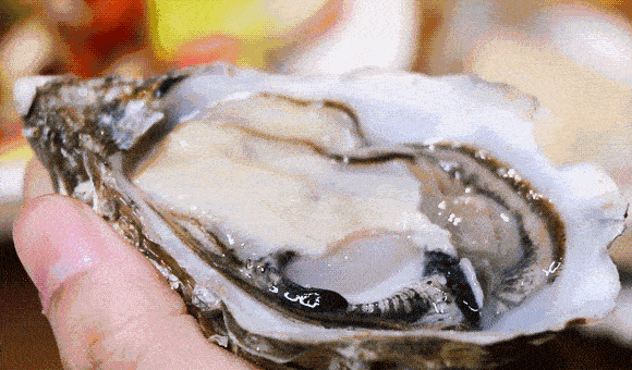 来袭|壕气来袭!仅49.9购门市价488元88只生蚝霸气来袭,这口鲜美一网打尽!【醉东北海鲜烧烤 | 苍松大厦 】霸气生蚝