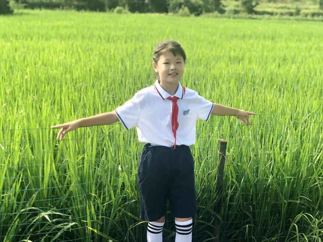 耳朵眼睛衣服心猜成语(2)