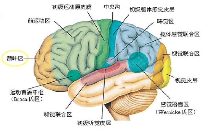 8c1f130e32c64d9881304ceac0f5181a.png
