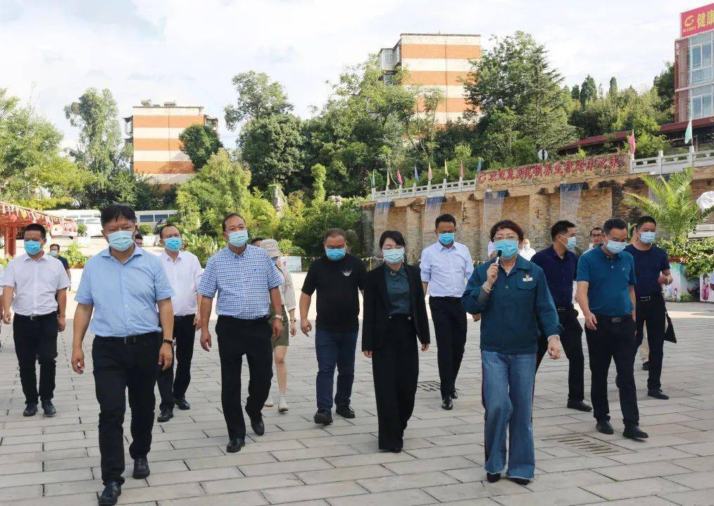 张燕华率队到安宁学习考察_昆钢