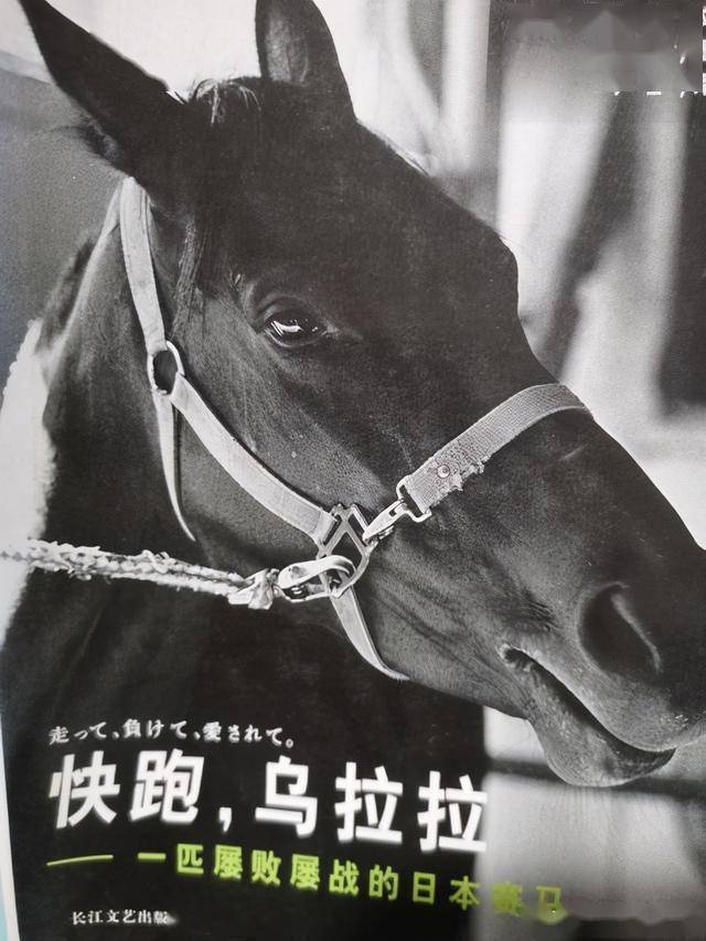 《快跑，乌拉拉》——这是说一匹马的书，一匹屡败屡战的日本赛马_阳香