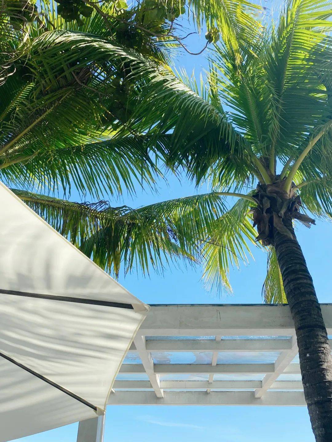 肌肤|三亚|时髦人度假打卡攻略~