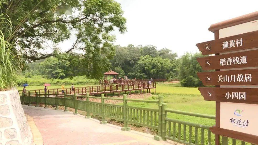 长假阳江游:走起,打卡美丽乡村!