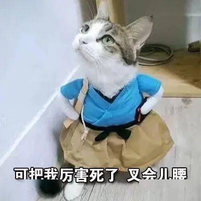 皮肤|护肤品成分花里胡哨看不懂?看完这篇就够了!