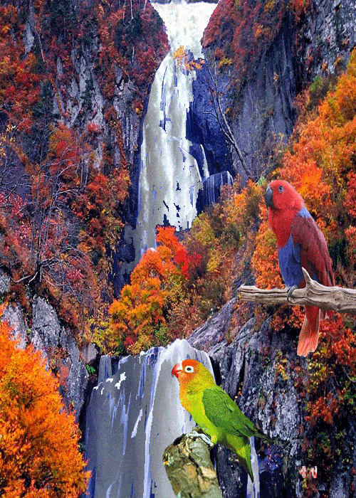 500_700 竖版 竖屏