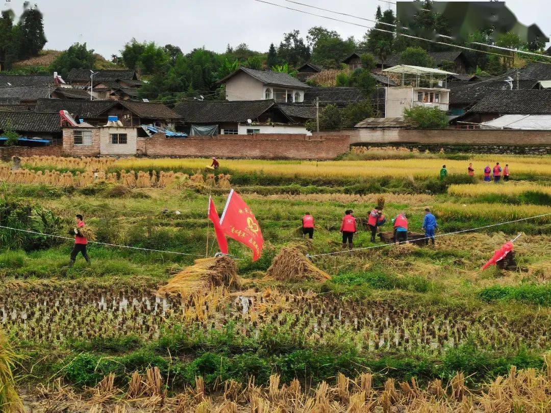 王田县人口_河北王田泥塑