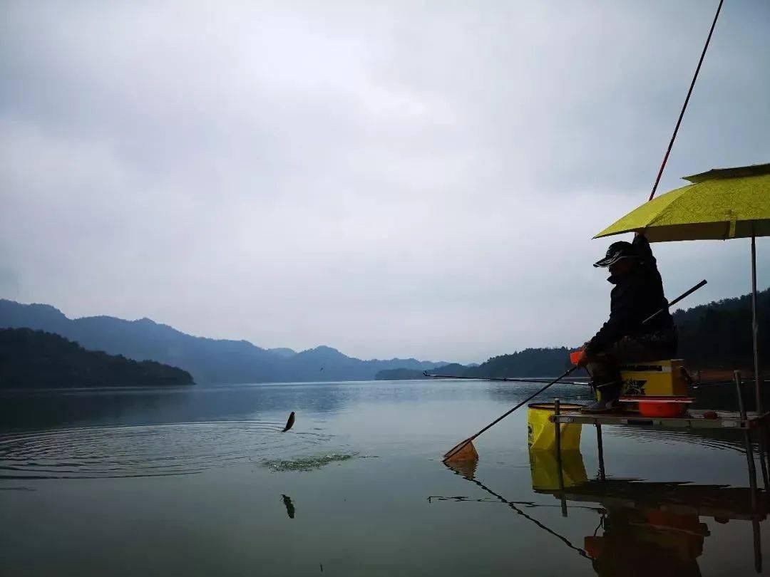 丁香|供大家参考多年经验总结出的两款秘制饵料