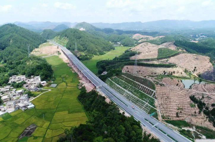 福建各市2020年前7个_福建奔驰威霆2020款(2)