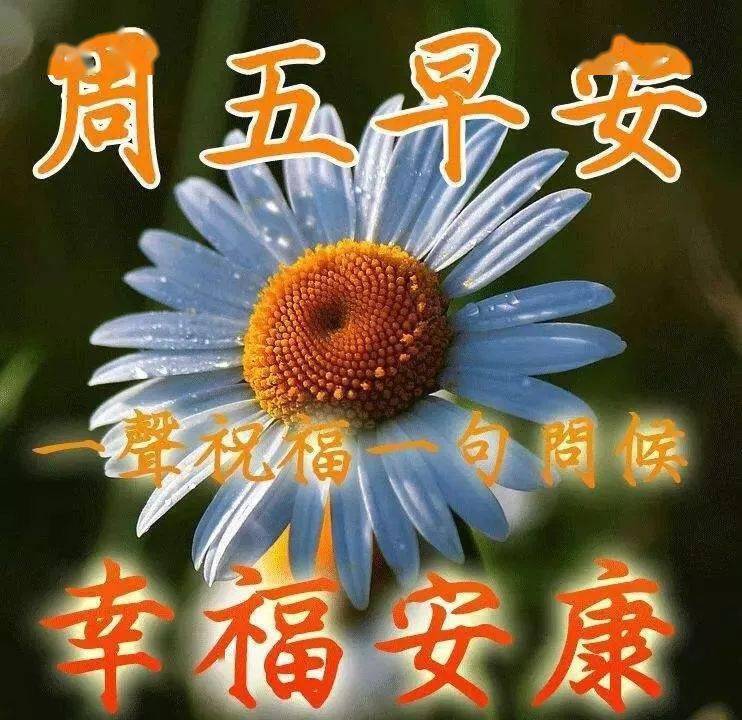 周五早上好动态表情包,我的朋友周五早安,幸福安康!