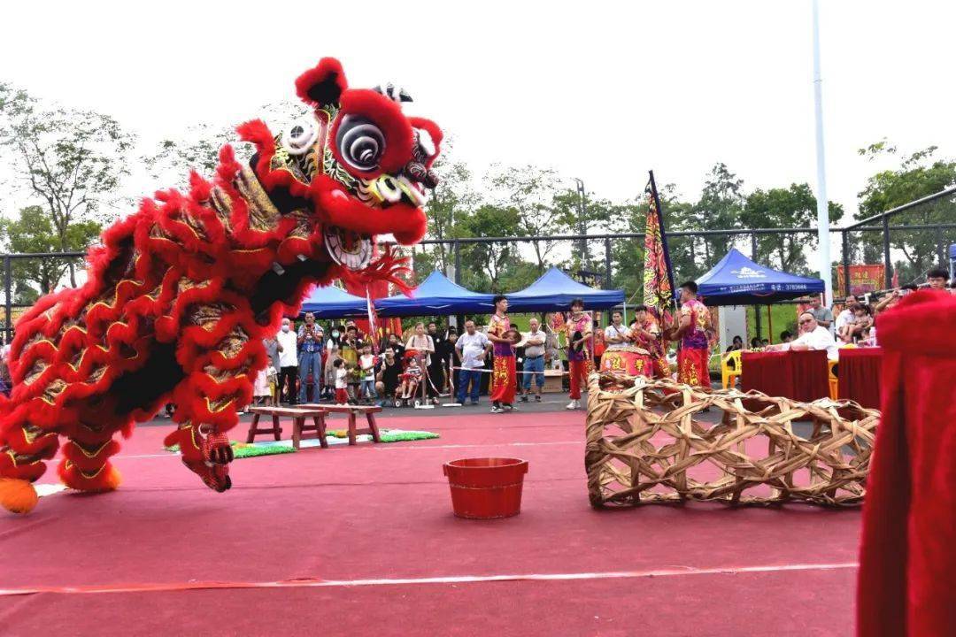 蓬江区gdp2020_江门市蓬江区地图全图(2)