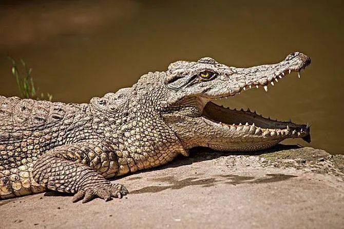 拖鞋|爱穿凉鞋、拖鞋出门的女人,脚上露出这个东西也太丑了吧~