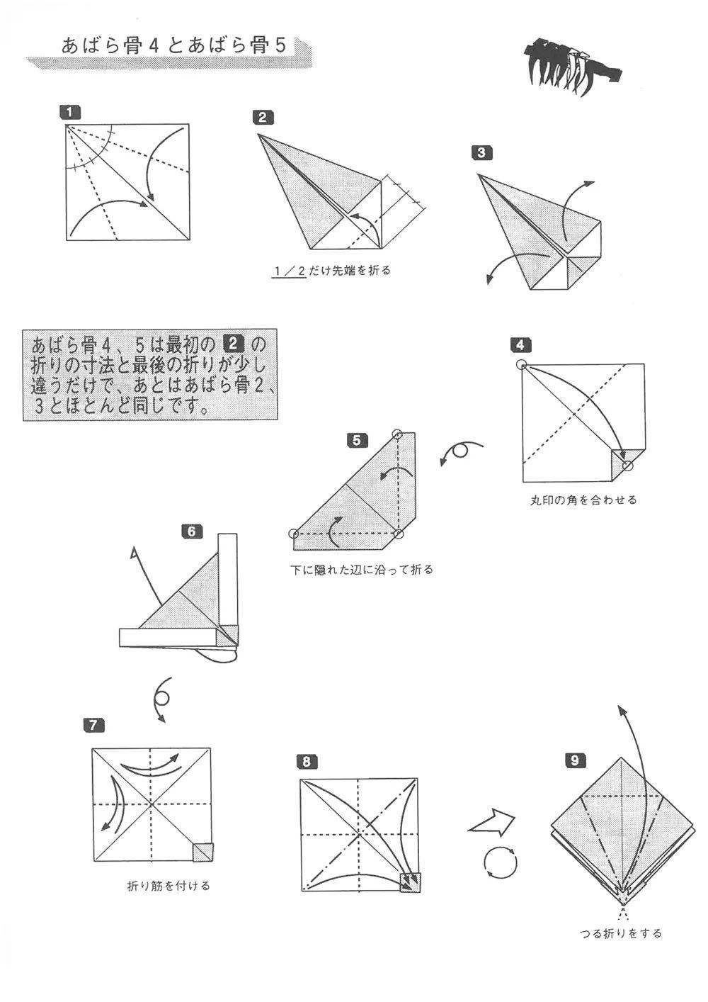 no.2221 折纸霸王龙骨架模型来了——胸椎4,5