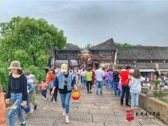 文章配图-19