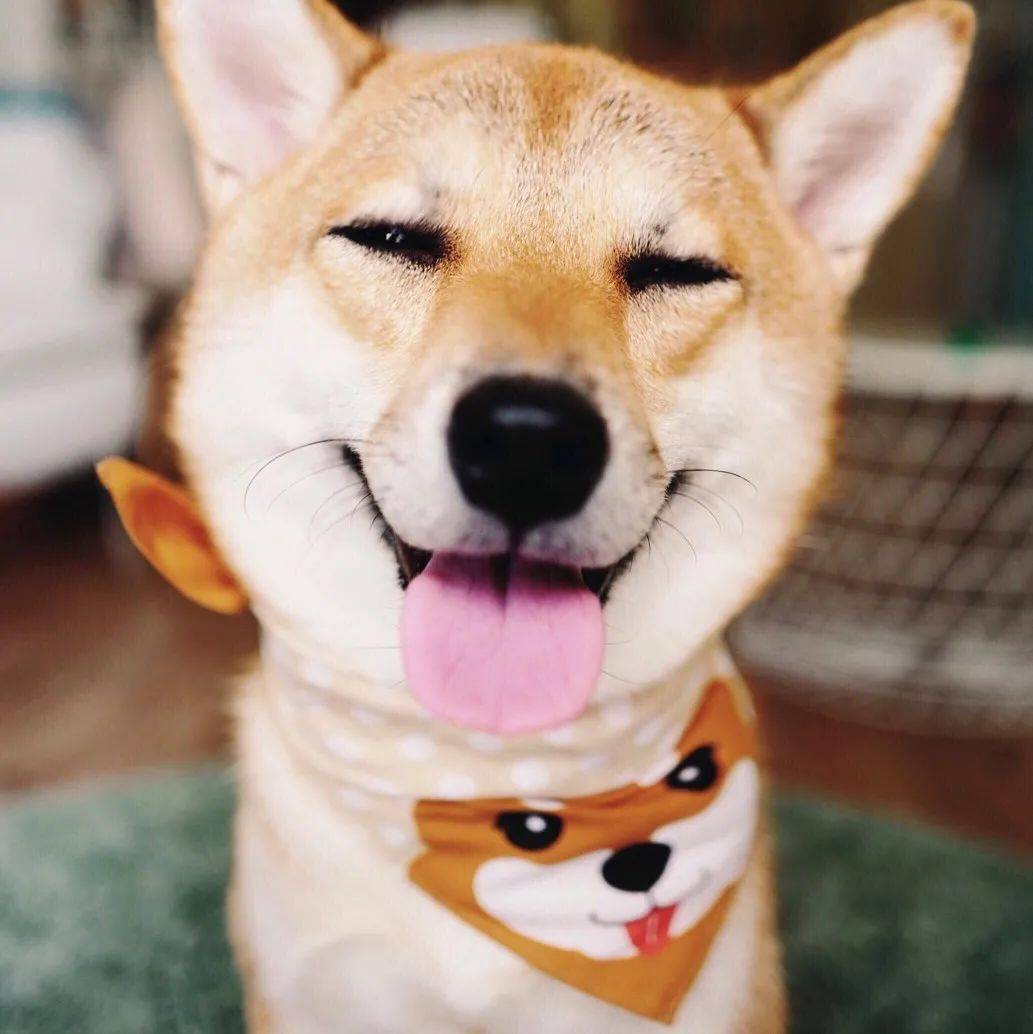 2b56b3ae8e254f11872a6c24341cd2ec.jpeg