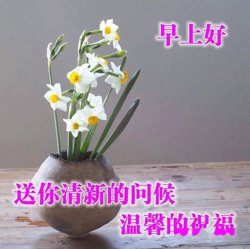 鲜花早上好美图大全,很美的早安图片,早安发朋友圈短语