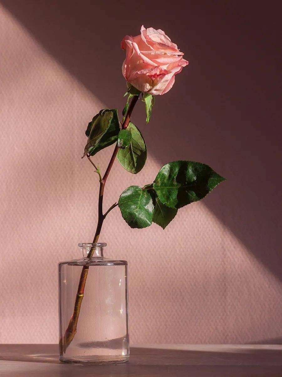 丈夫|秋天第一场失恋来了！原来石原里美撩到丈夫靠这个