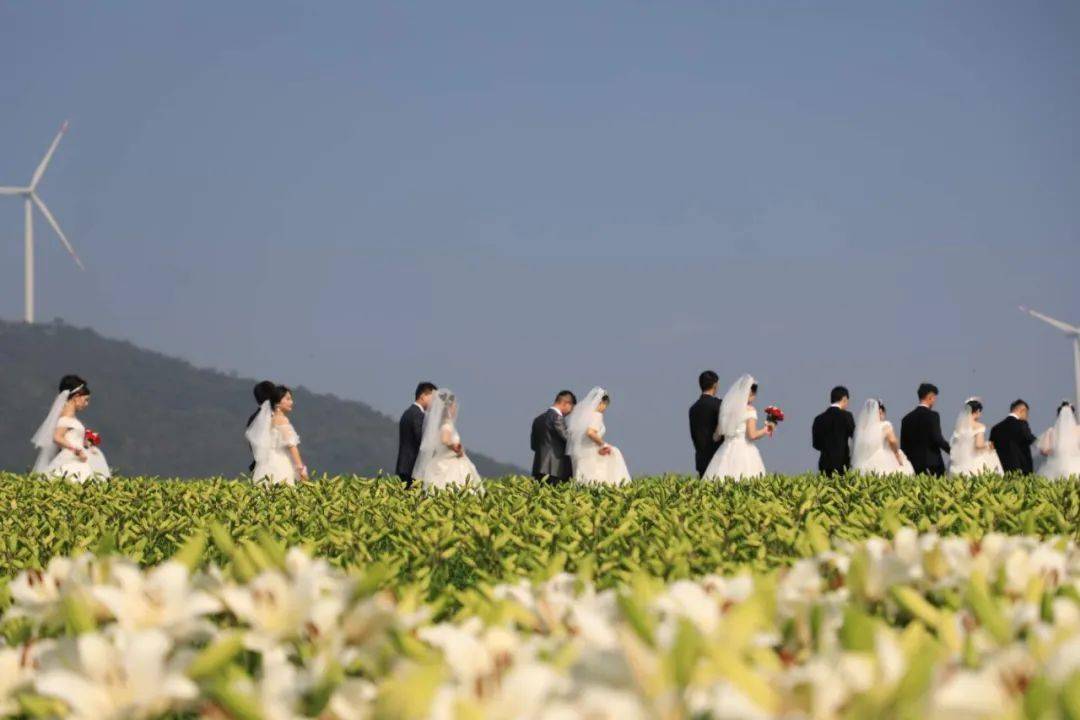 2020巢湖经开区gdp_服务区照片巢湖(2)