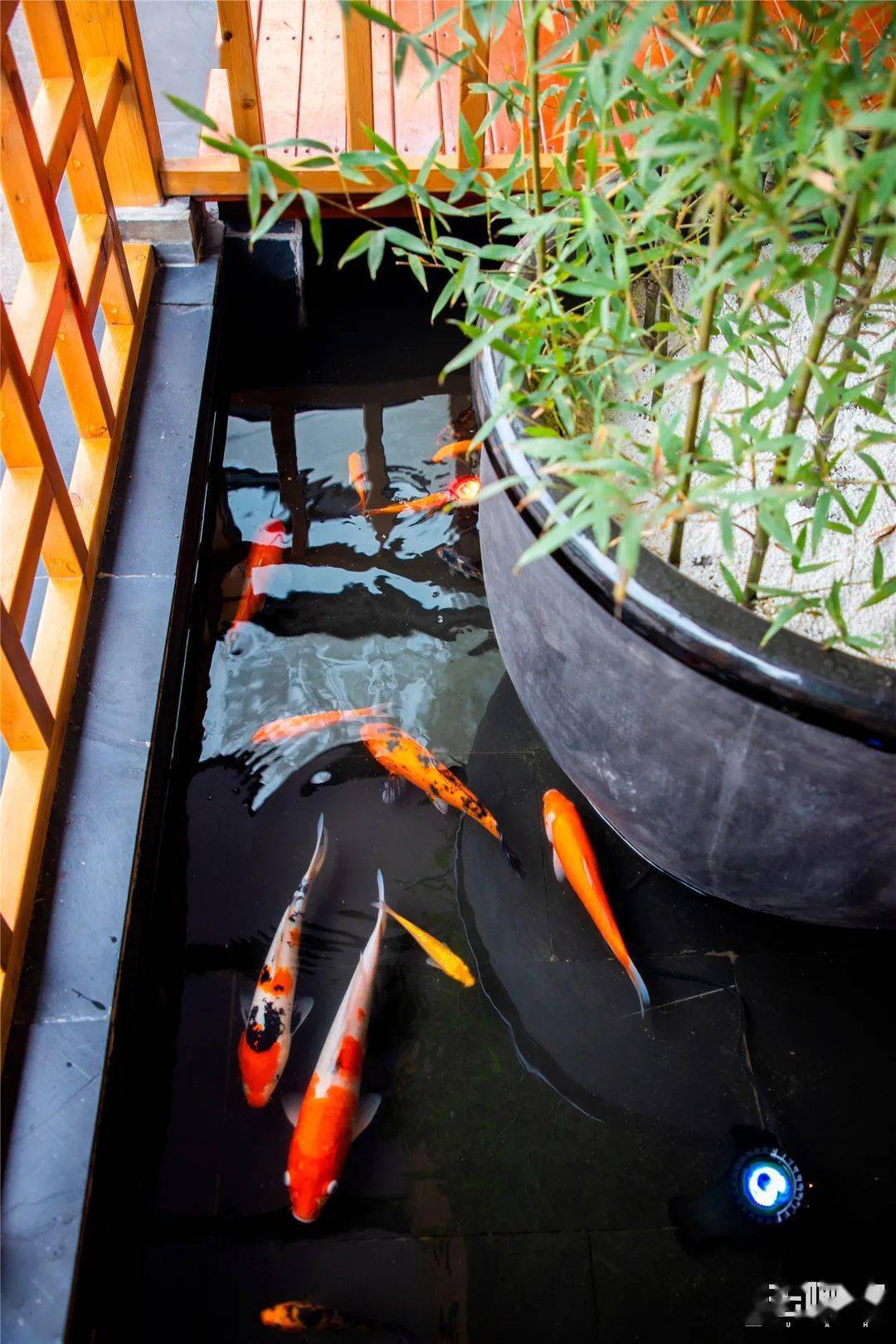 小串|魔都市中心罕见「土灶烧烤」！百元铺满桌！又壕又横又硬核！