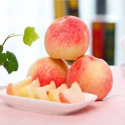 平谷区长卖桃 ff9c99c779e740fc878a2e1d59f6de28.jpeg