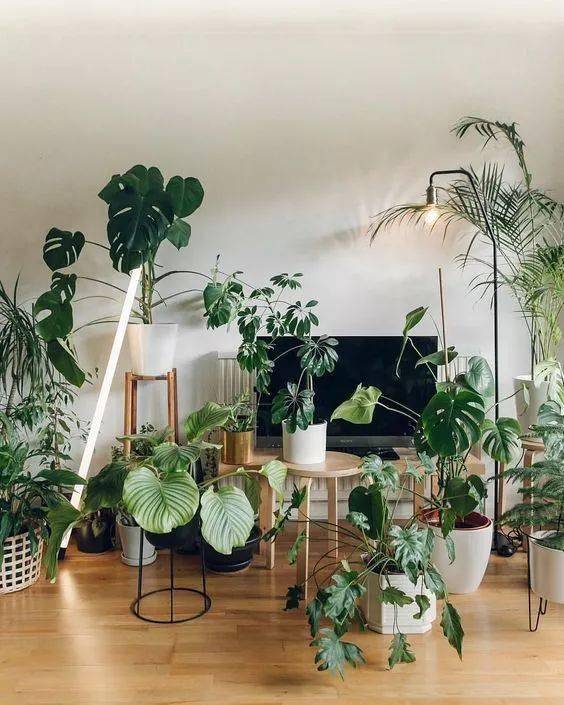 结构|家再小，也能建造的这些小花园！