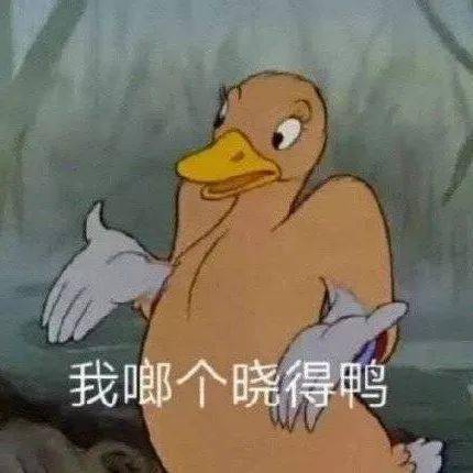 表情包 | 热爱生活 也爱你