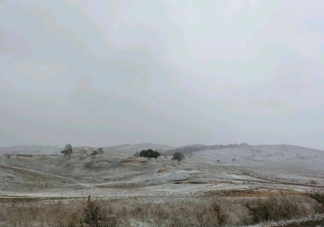 下雪了 下雪了 赤峰这里又下雪了 昨天克旗乌兰布统/黄岗梁 白茫