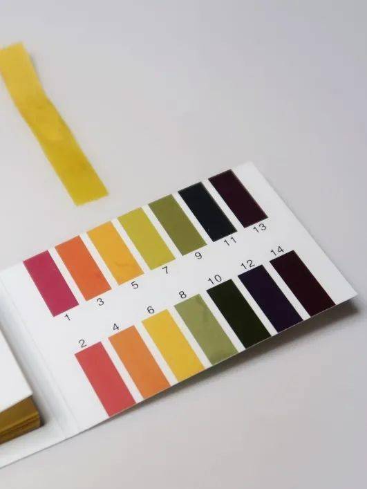 面膜|从内衣模特到老戏骨 如今她只能靠Angelababy搏关注？