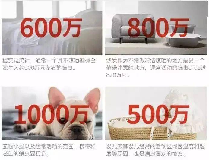 床上螨虫怎么除不花钱 ae71bd333aee4c8fb3567539f6d9428a.jpeg