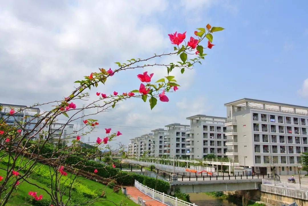 校区|看哭！广东“最没存在感”公办大学！这几所也在榜？