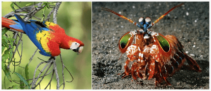 彩虹|不买车不买房的年轻人，为什么看到 RGB 就挪不动步？