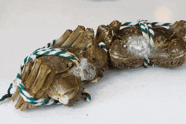 阳澄湖|什么是好吃的大闸蟹！咬一口“biu~”爆膏流黄15年老蟹农告诉你