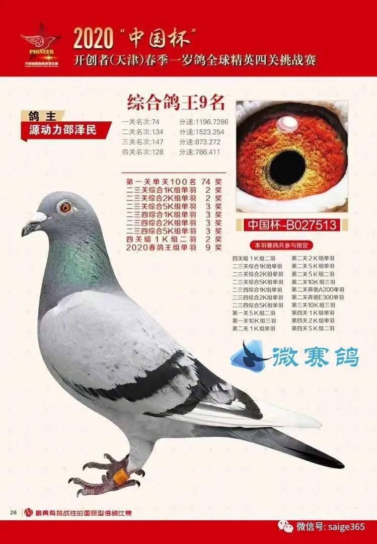 2020天津开创四关综_2020天津开创四关综合鸽王前十名欣赏!