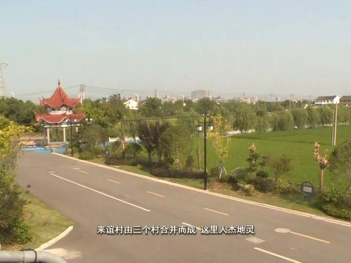 大家好,我叫陈守岸,我是钱库镇新安片区的副书记,也是来谊村的驻村