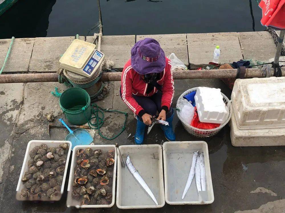 螃蟹|威海海鲜价格这样，快吃起来国庆假期