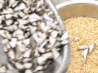 所有人|阳澄湖大闸蟹可以提现货啦~@所有人