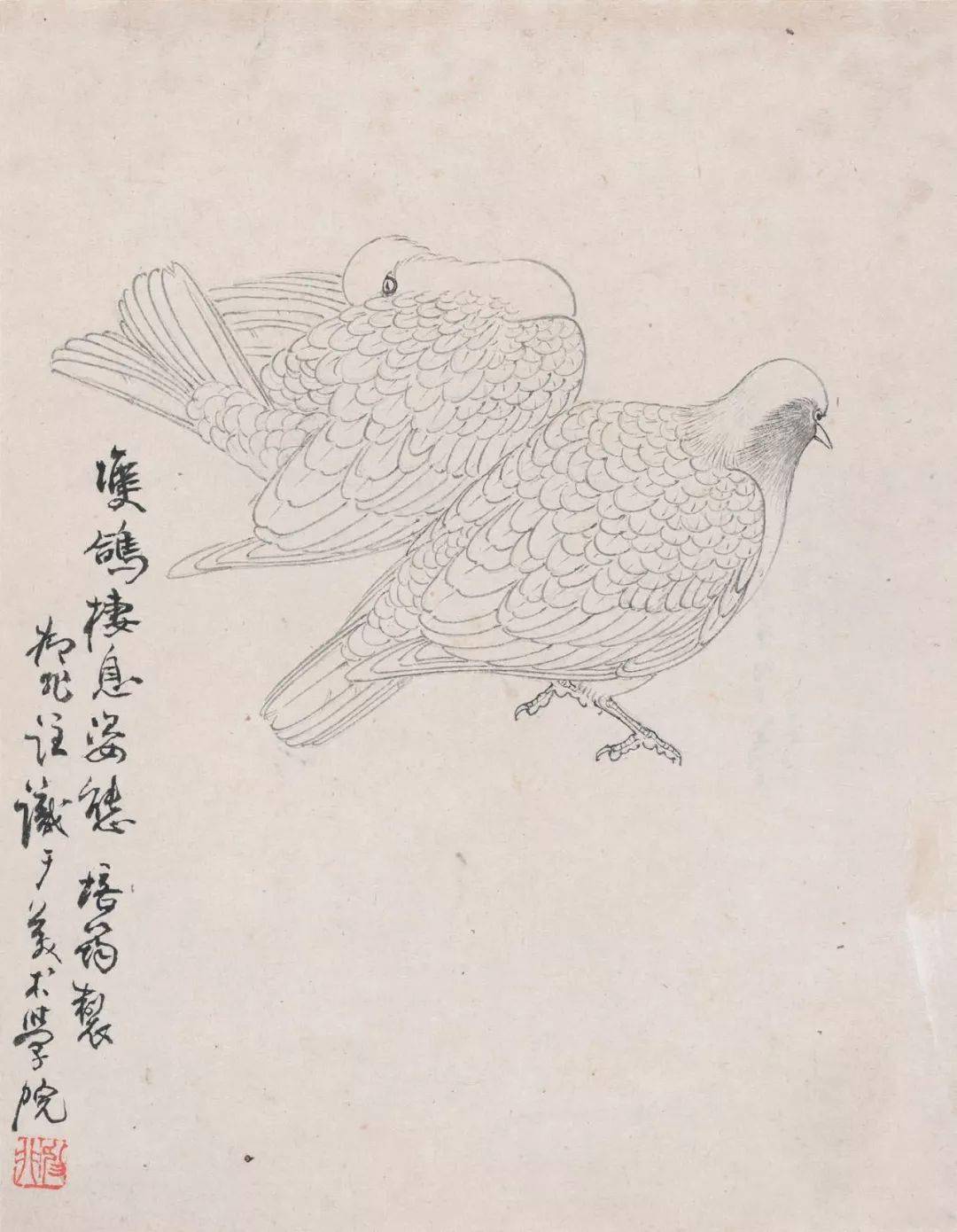 章培筠白描花鸟作品学习白描要灵活喜欢哪种就学哪种