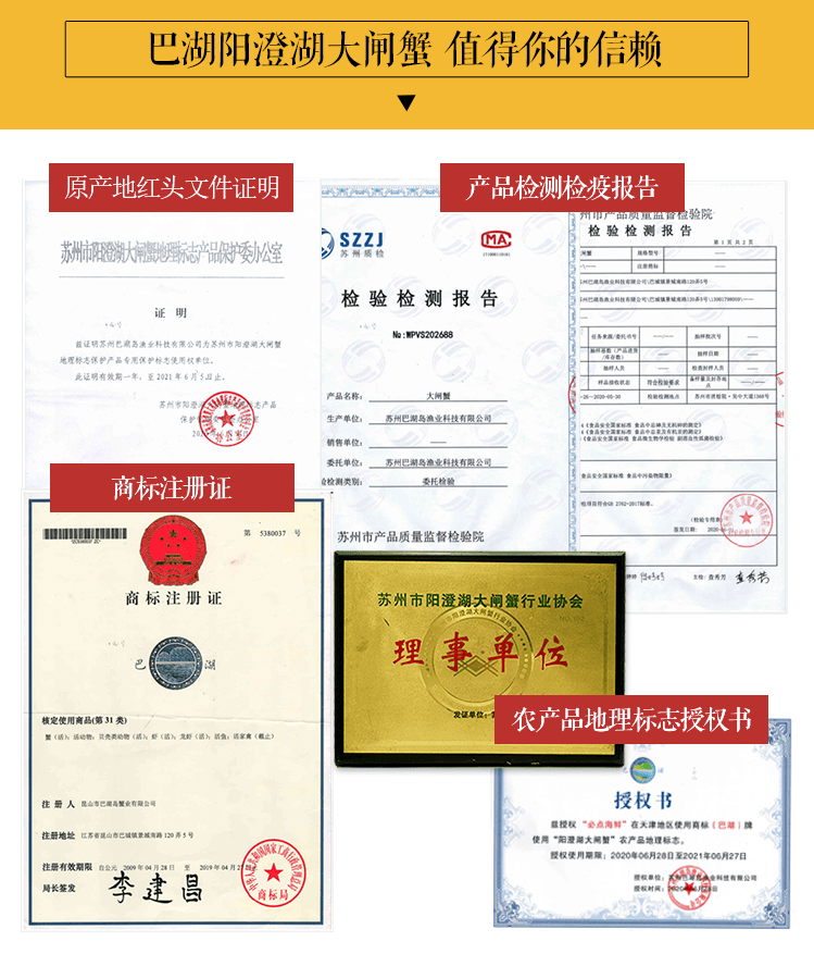 所有人|阳澄湖大闸蟹可以提现货啦~@所有人