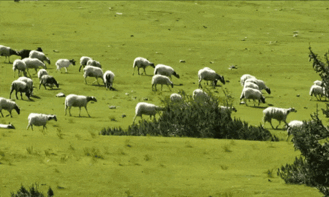 聚光灯|皮肤比丝绸还滑！涂上它自带“聚光灯”,这才是女人该有的样子！