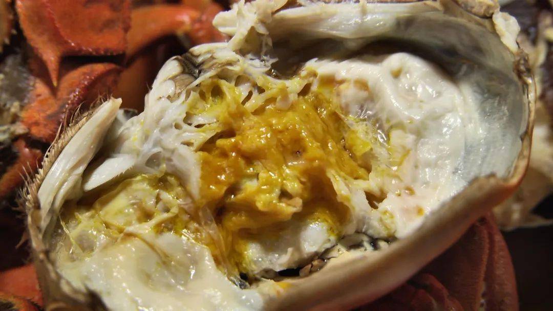 所有人|阳澄湖大闸蟹可以提现货啦~@所有人