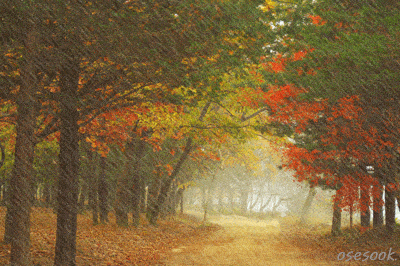 微刊2020-283·总第1383期                               淅淅沥沥