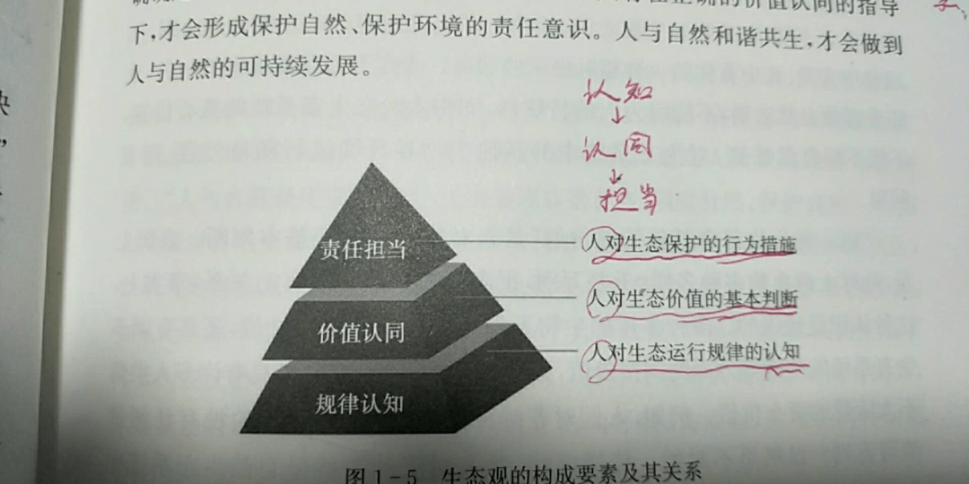 0731575d293341a8ae29ff47085a5cb7.png