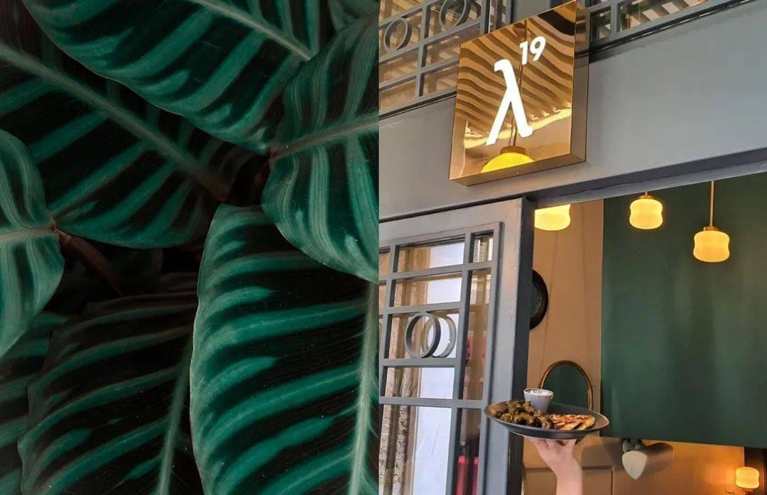 品牌|品牌 | 希腊美食餐厅品牌视觉设计，清新时尚~