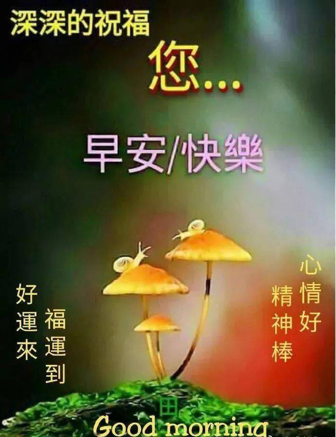 特别漂亮的早上好图片问候语句子 舒心的清晨好早安祝福语录短信