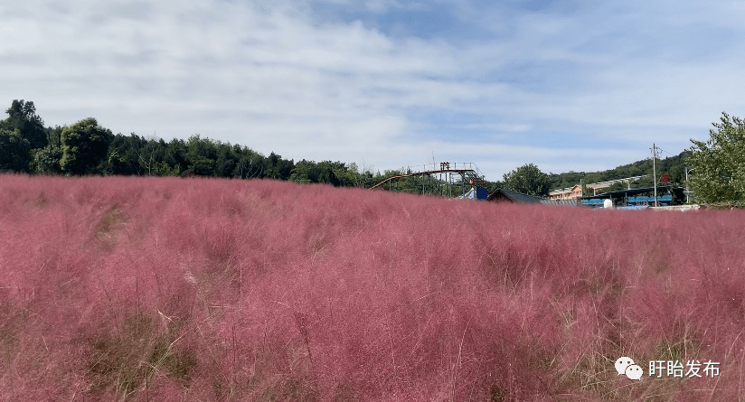 都梁山中 都梁阁 都梁阁上 赏美景 花海 花海是盱眙的热门景点之一