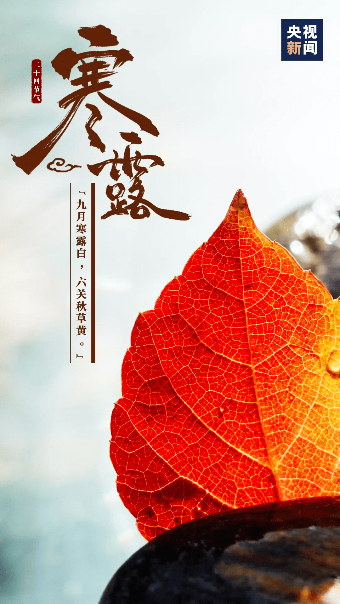 国庆|今晨财经必读（2020.10.08）