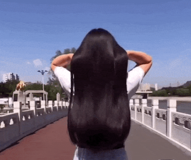 【乌发密发】何首乌草本洗发液 多种草本植物精粹 清洁控油止痒,滋养