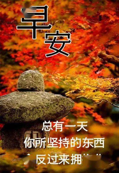 10月9日最漂亮早上好动态表情图片大全,早晨好动图美图大全