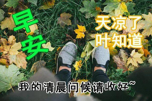 清晨早安漂亮鲜花动态表情图片 10月早上好祝福表情图片带字大全