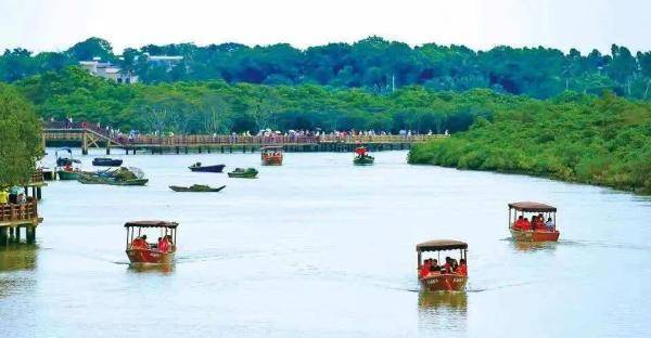 市场运行情况|海南：8天！453.78万人次！66.2亿元！